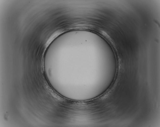 X0000103491370200809120941