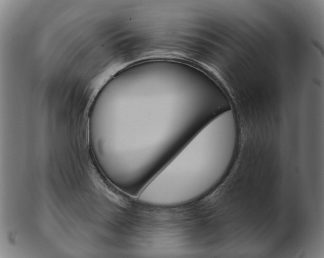 X0000103491371200809120941