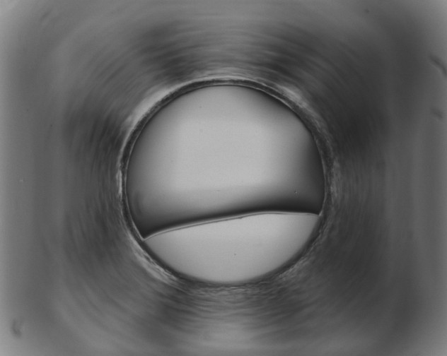 X0000103491372200809120941