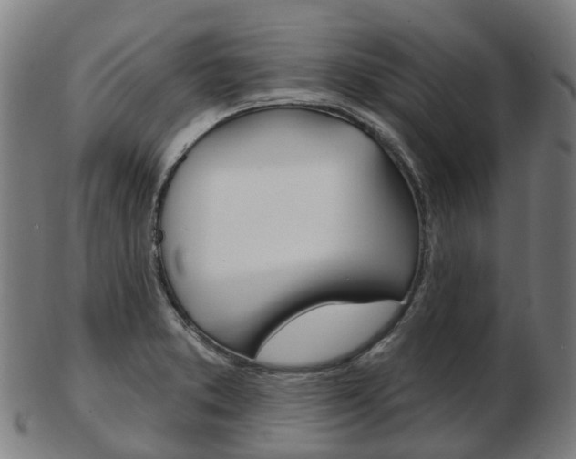 X0000103491373200809120941
