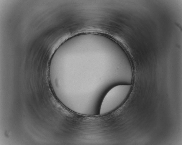 X0000103491374200809120941