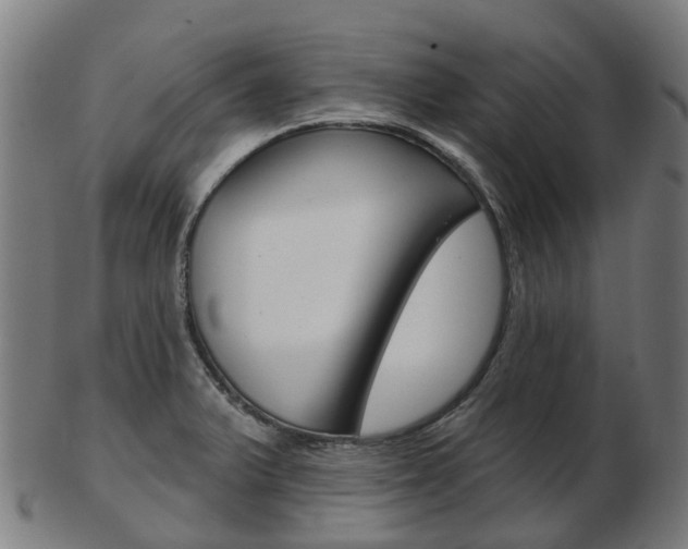 X0000103491375200809120941
