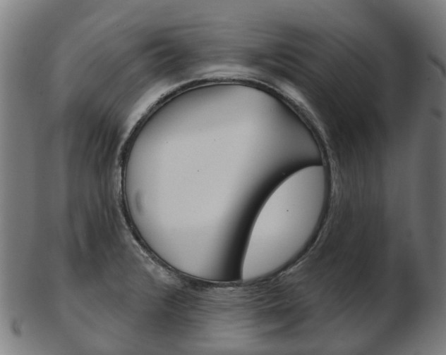 X0000103491376200809120941