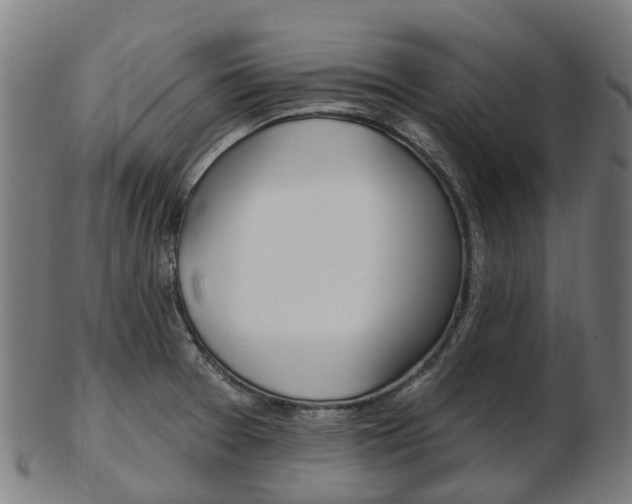X0000103491377200809120941