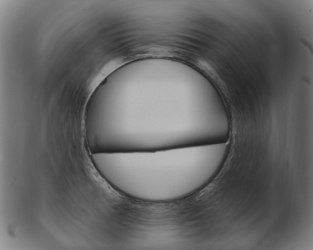X0000103491378200809120941