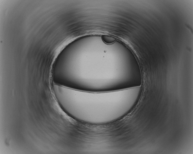 X0000103491379200809120941