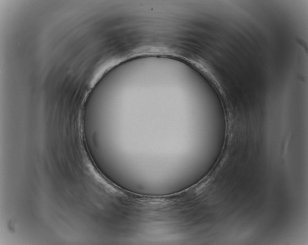 X0000103491382200809120941