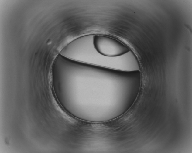 X0000103491383200809120941