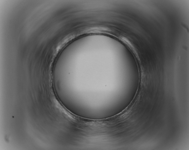 X0000103491384200809120941