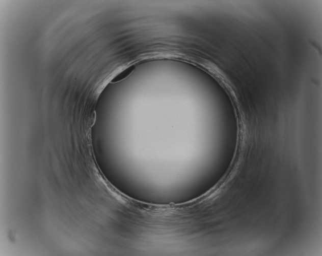 X0000103491385200809120941