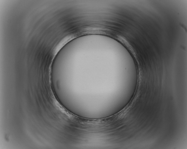 X0000103491386200809120941