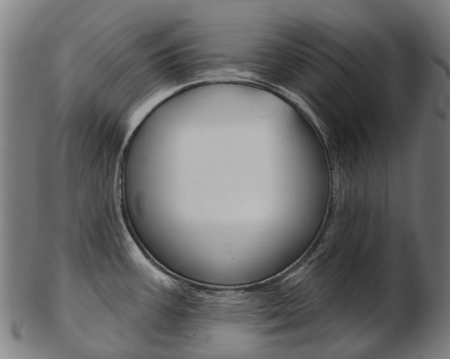 X0000103491387200809120941