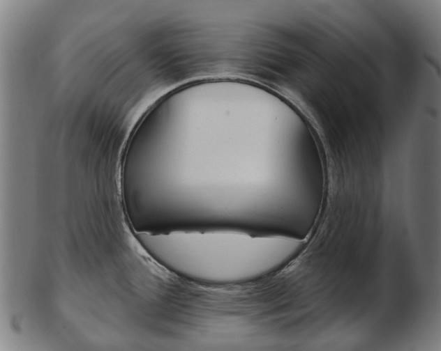 X0000103491388200809120941