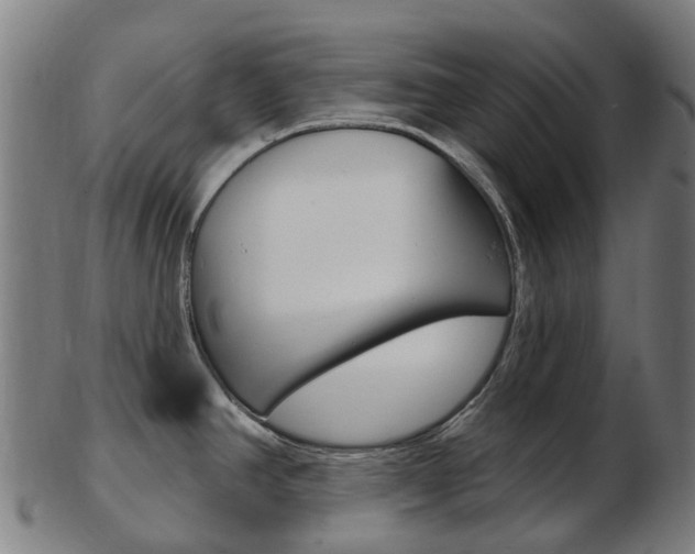 X0000103491390200809120941