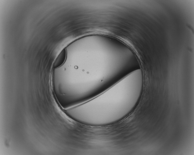 X0000103491391200809120941