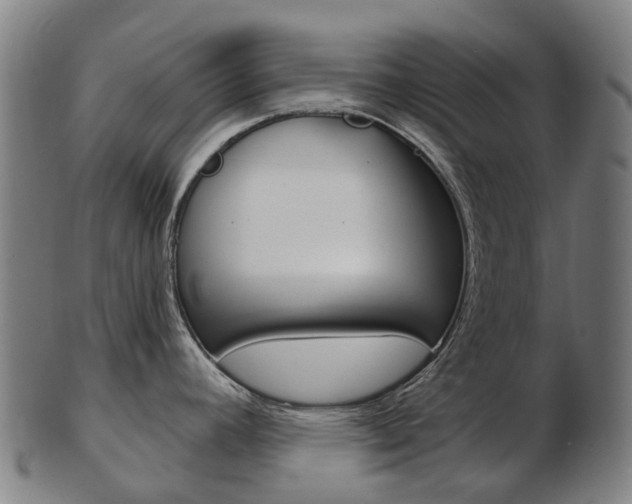 X0000103491392200809120941