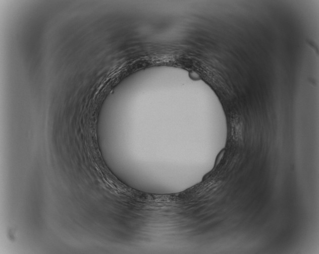 X0000103491393200809120940