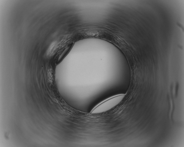 X0000103491394200809120940