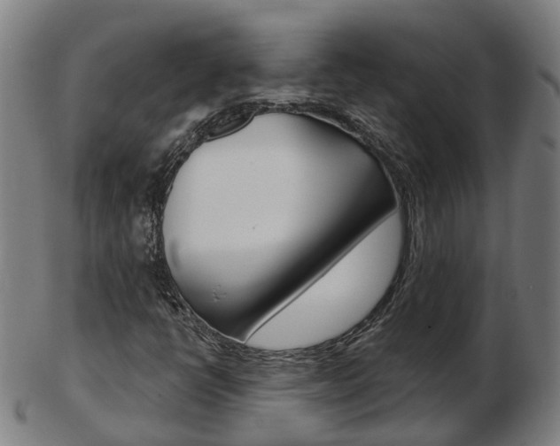 X0000103491398200809120940