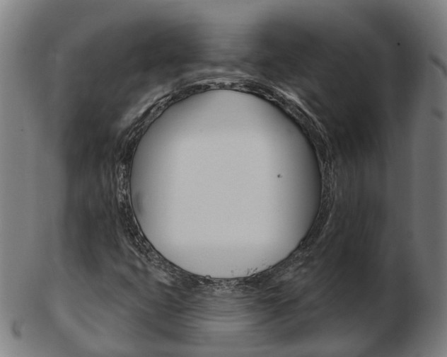 X0000103491399200809120940