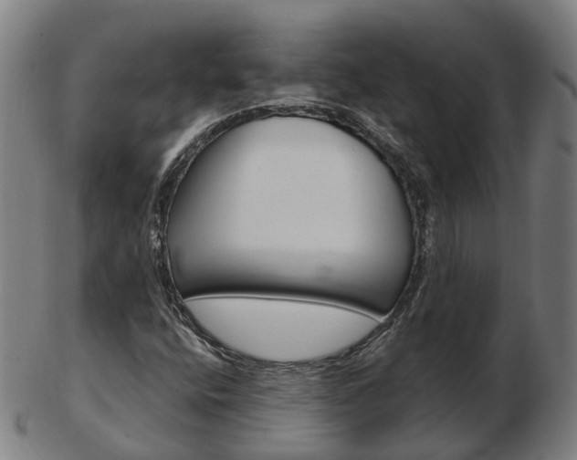 X0000103491400200809120940