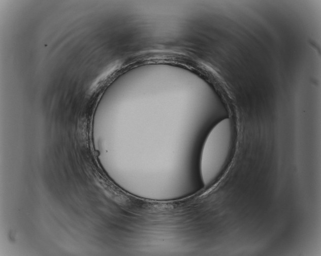 X0000103491403200809120940