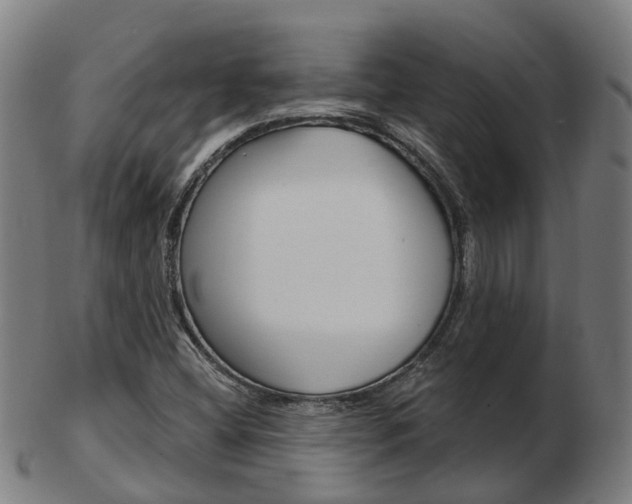 X0000103491404200809120940