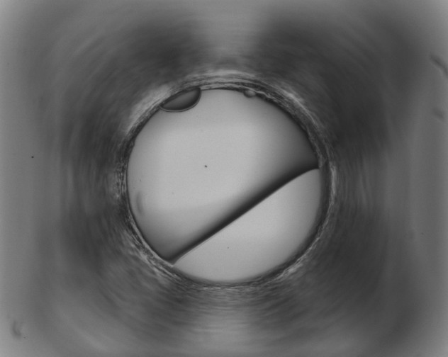 X0000103491405200809120940