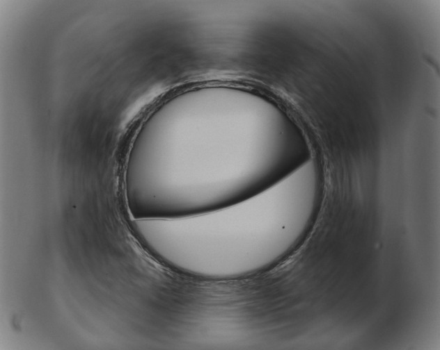 X0000103491406200809120940