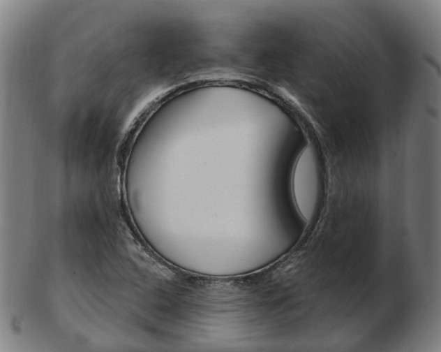 X0000103491408200809120940