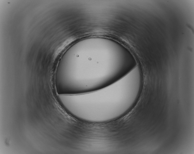 X0000103491410200809120940