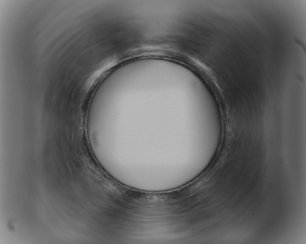 X0000103491411200809120940
