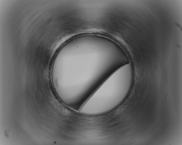 X0000103491412200809120940