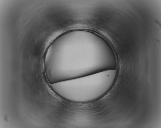 X0000103491413200809120940