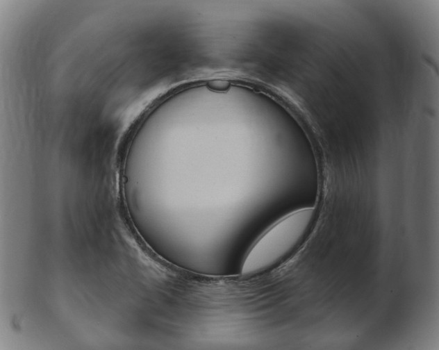 X0000103491414200809120940