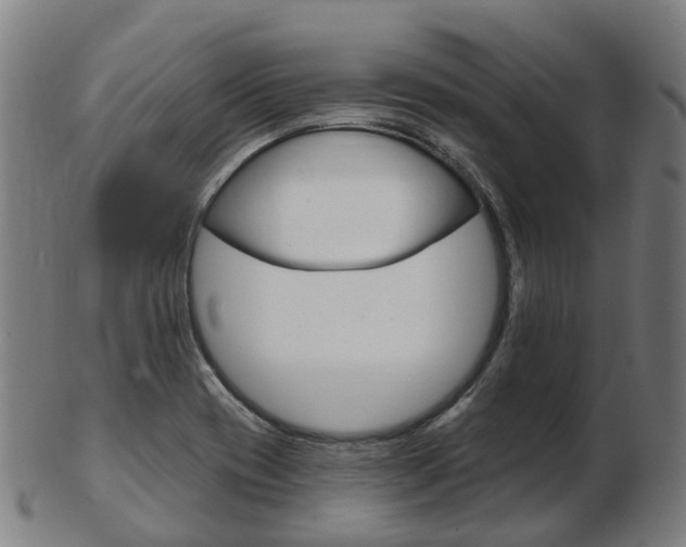 X0000103491417200809120940