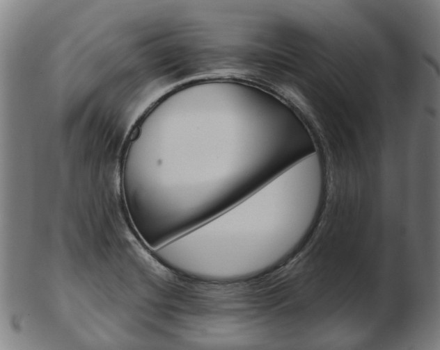 X0000103491420200809120940