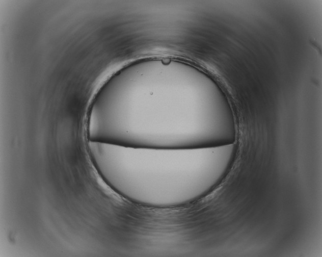 X0000103491421200809120940