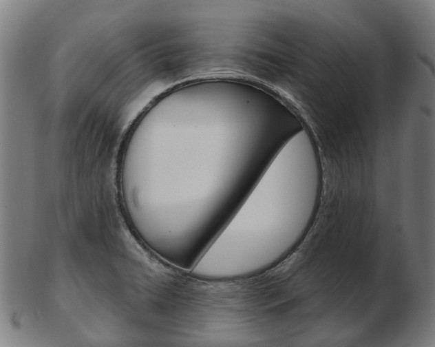 X0000103491422200809120940