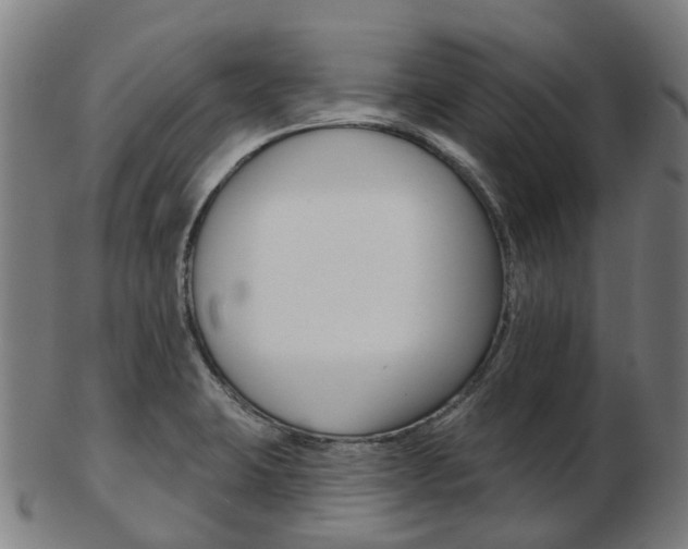 X0000103491423200809120940