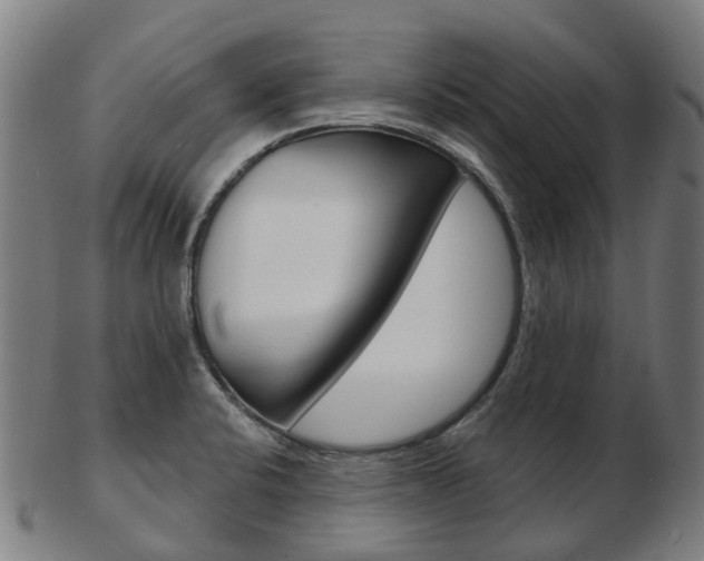 X0000103491424200809120940