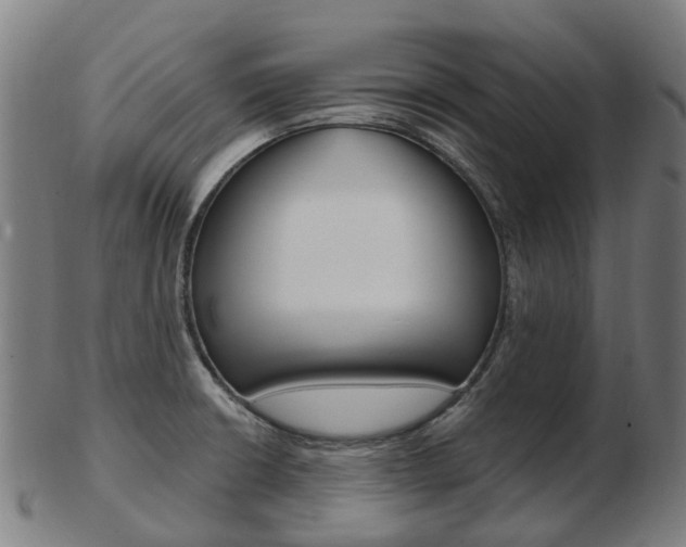 X0000103491426200809120940