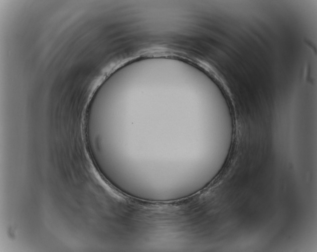 X0000103491429200809120940