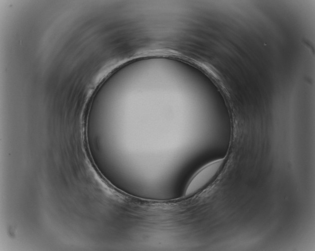 X0000103491430200809120940