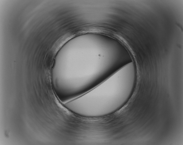 X0000103491433200809120941