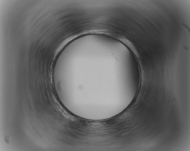 X0000103491436200809120941