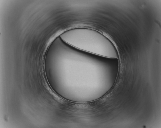 X0000103491437200809120941