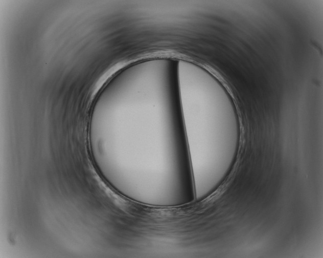 X0000103491438200809120941