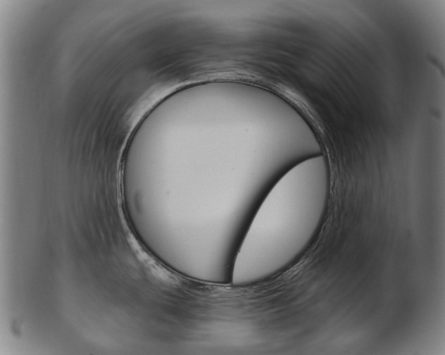 X0000103491439200809120941