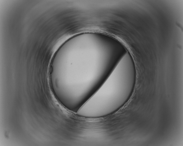 X0000103491440200809120941